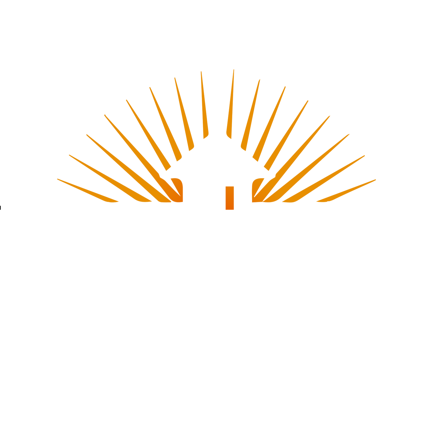 Sound Team Realty