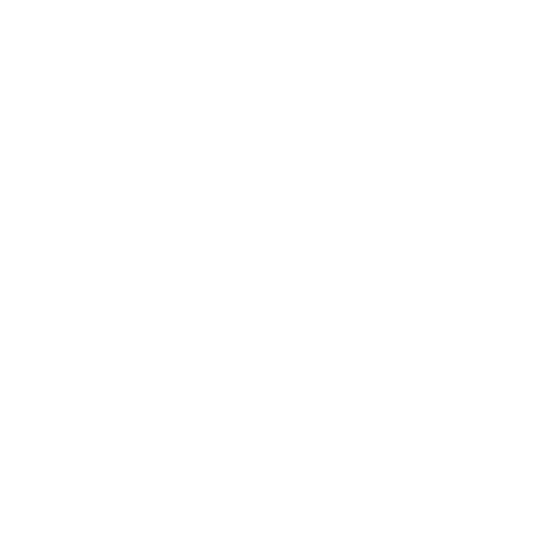Cars on Congress - Charity Car Show