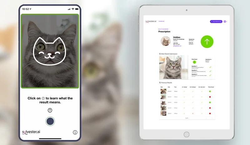 Tably for Veterinarians — Sylvester.ai