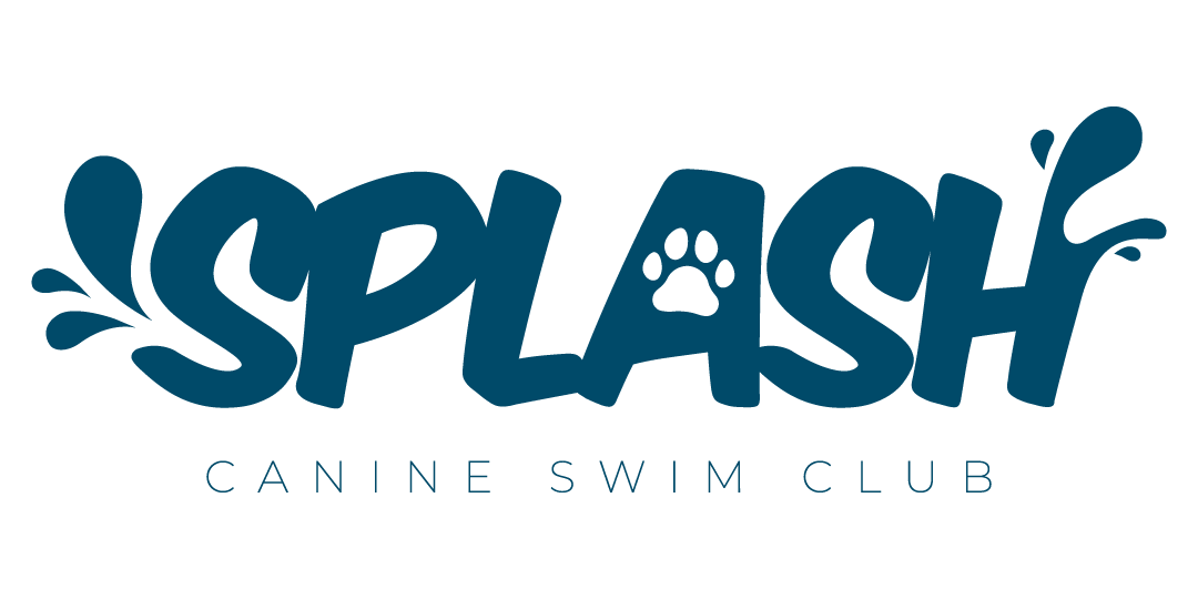 Splash Canine Swim Club