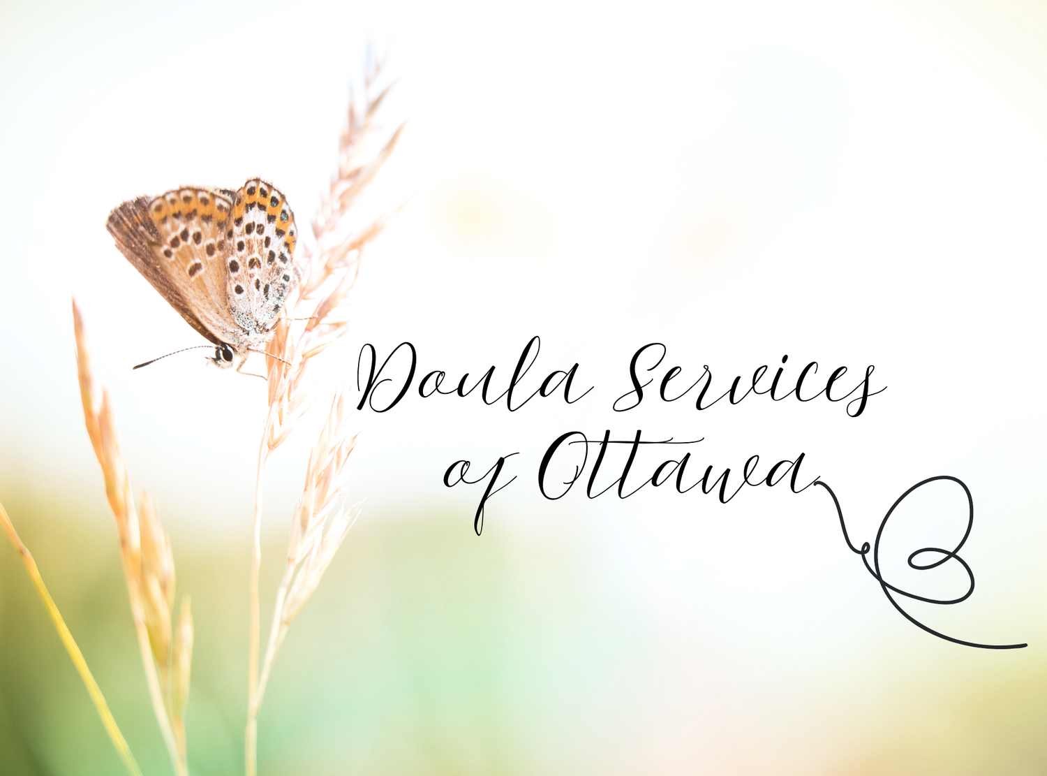 Doula Services of Ottawa