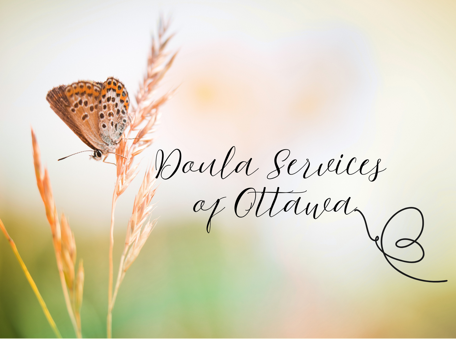 Doula Services of Ottawa