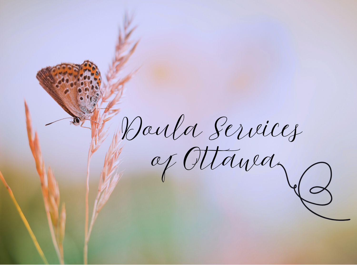 Doula Services of Ottawa