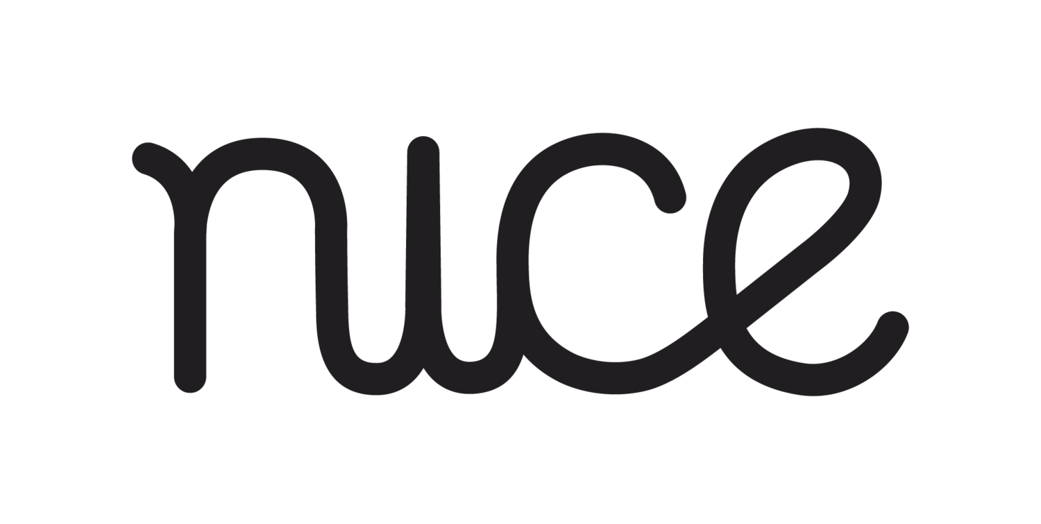 The NICE Program