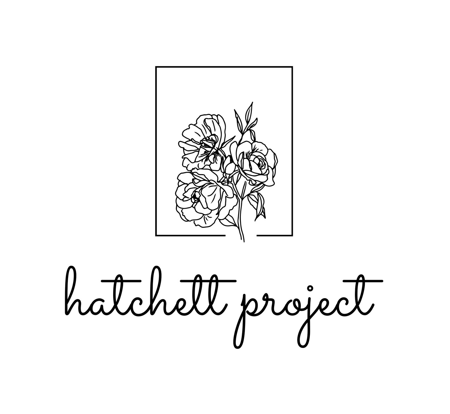 Hatchett Project
