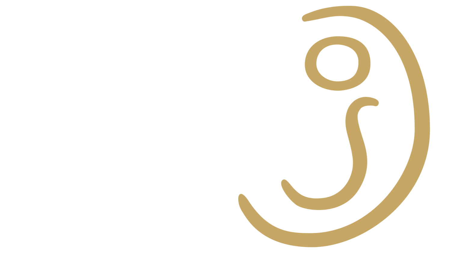 Studio Jacks