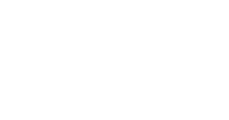 Ladies First Agency