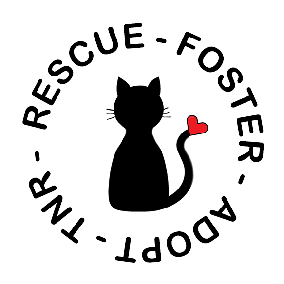 Kitten Rescue 101 (Copy)