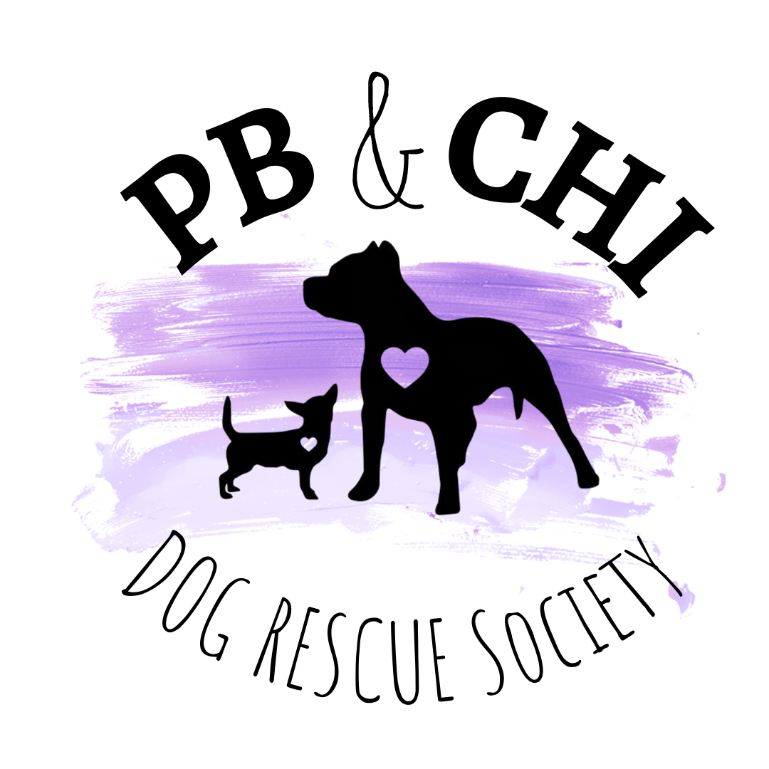 PB &amp; Chi Dog Rescue Society