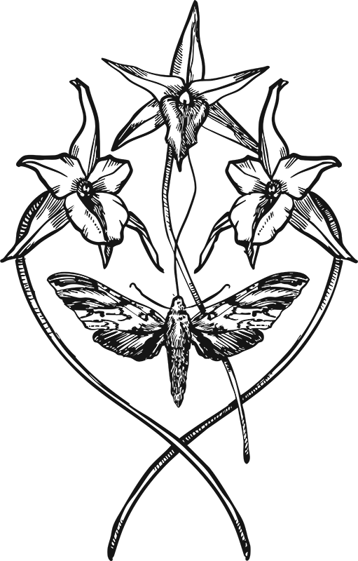 SANDY WIRT ILLUSTRATION AND DESIGN
