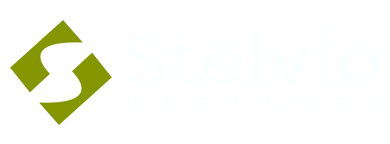 Stelvio Partners Fusiones y Adquisiciones