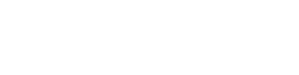 Talon Simulations