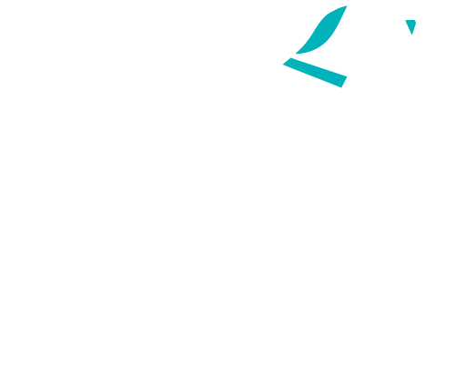 Champagne Dog Training