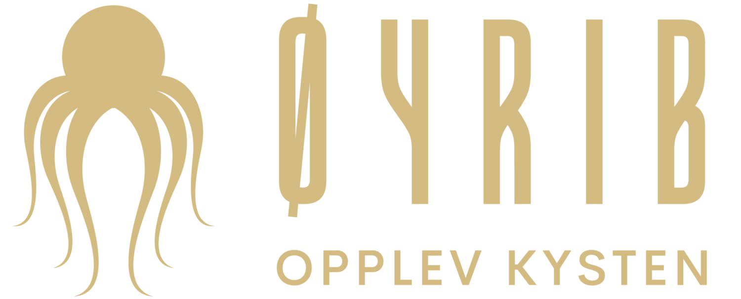 Øyrib