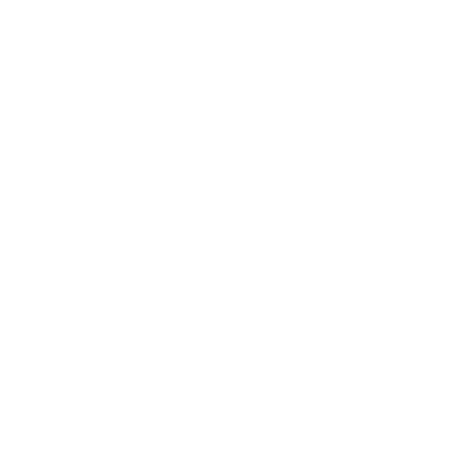 FOREST PERFORMANCE COACHING