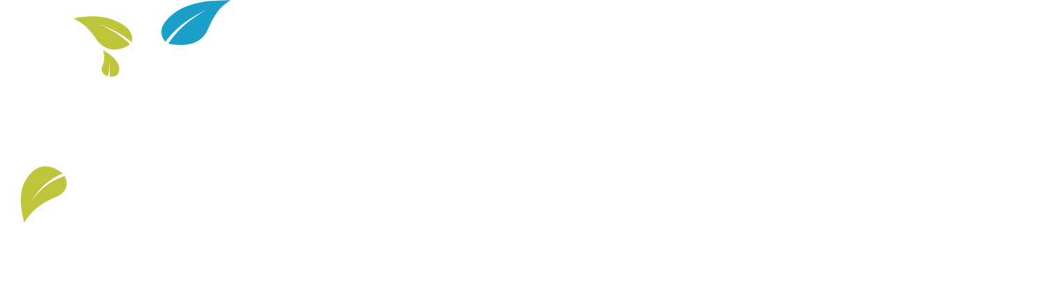 Great Minds Learning Center- Effective reading &amp; spelling instruction