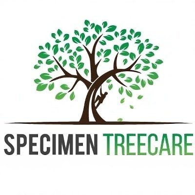 Specimen Treecare