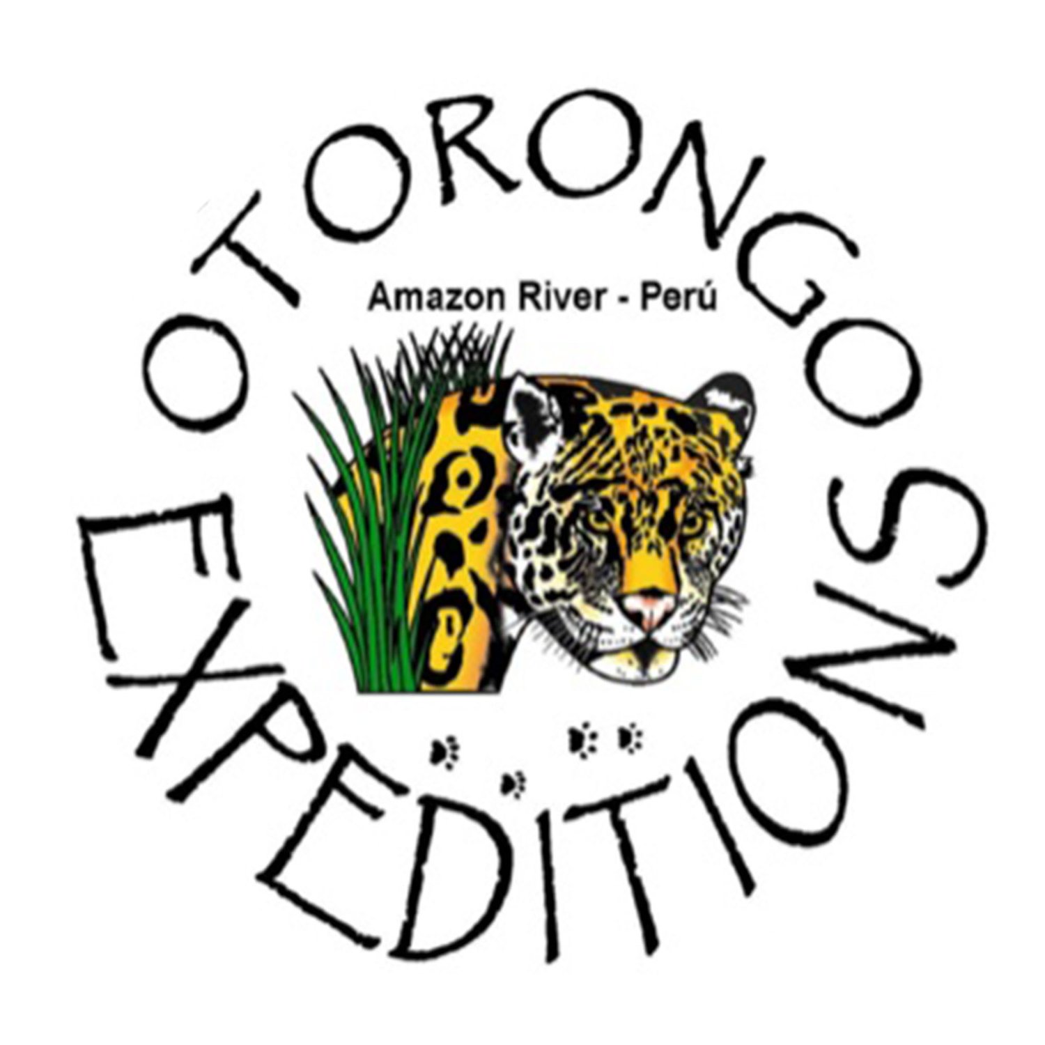 Otorongo Expeditions Amazon River Lodge