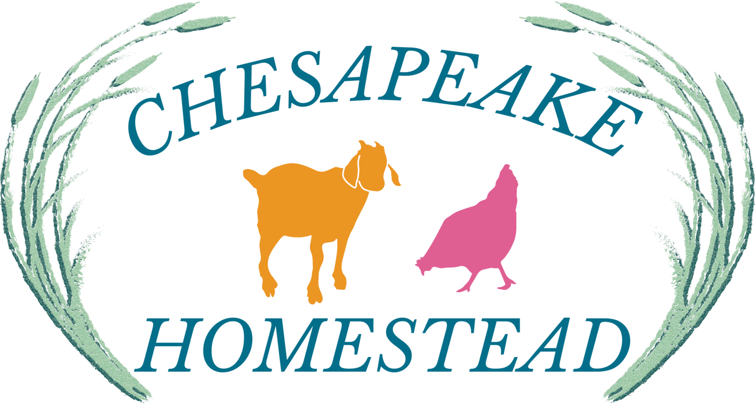 Chesapeake Homestead
