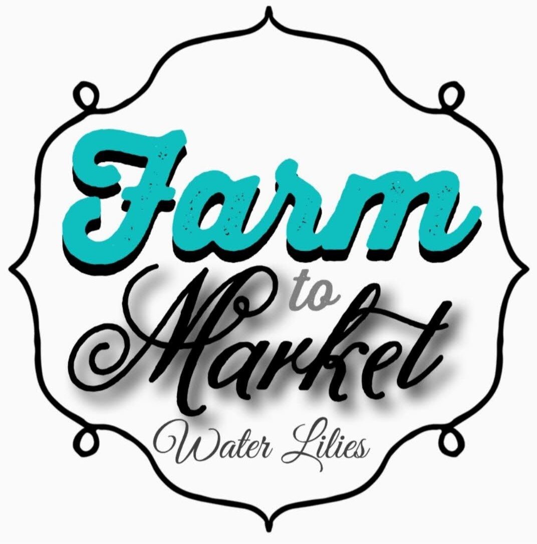 Farm to Market Water Lilies