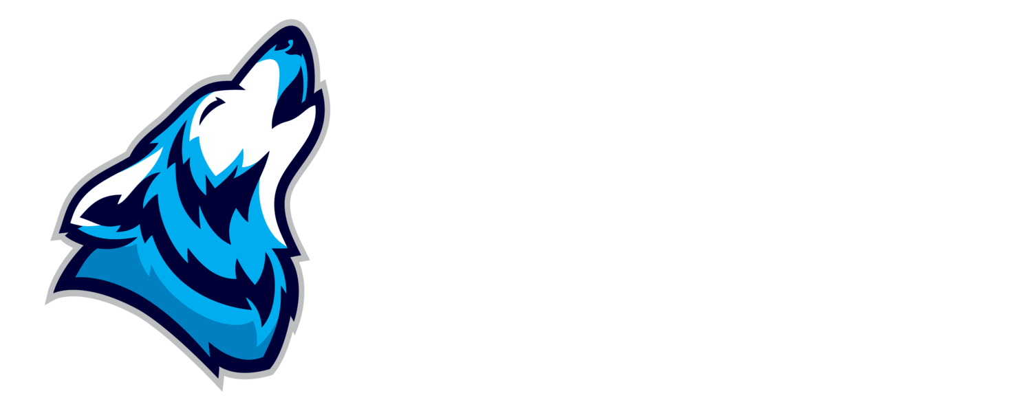Blue Wolf Martial Arts