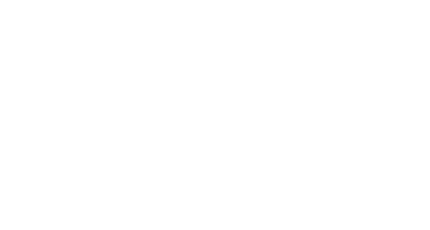 Rise Chiropractic &amp; Wellness Centre
