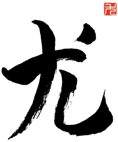 Jolanta Press Akupunktura i Chińska Medycyna