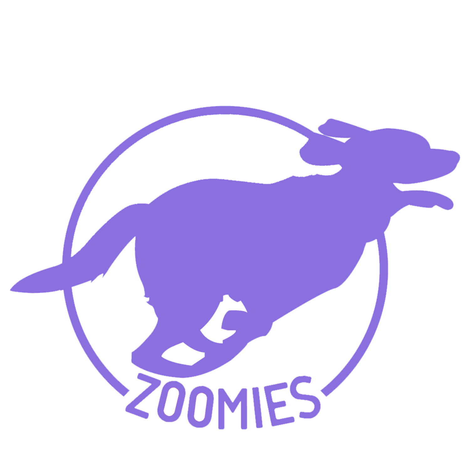 Zoomies alternative dog daycare