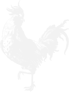 Bantam