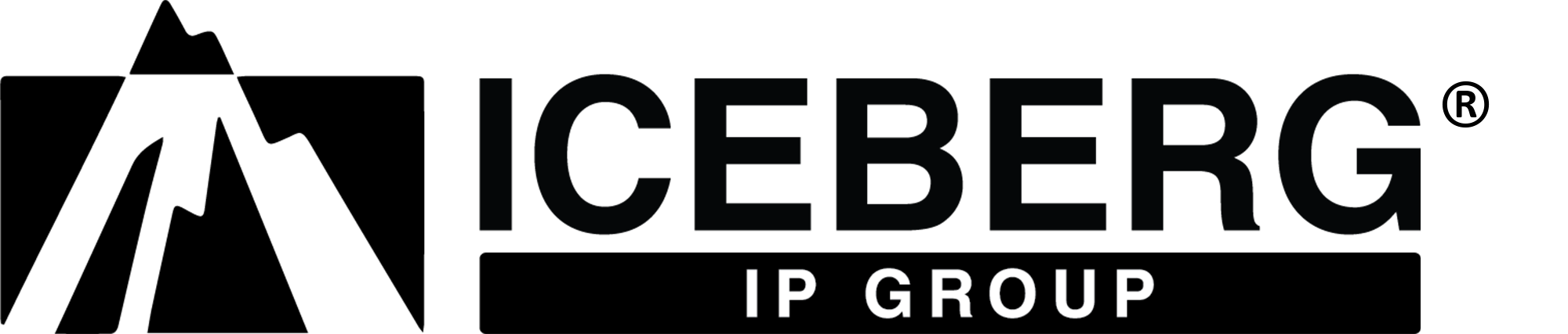 ICEBERG IP Group