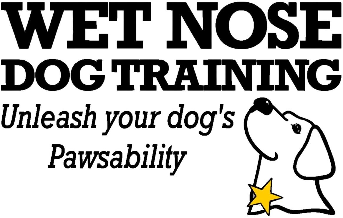 Wet Nose Dog Training