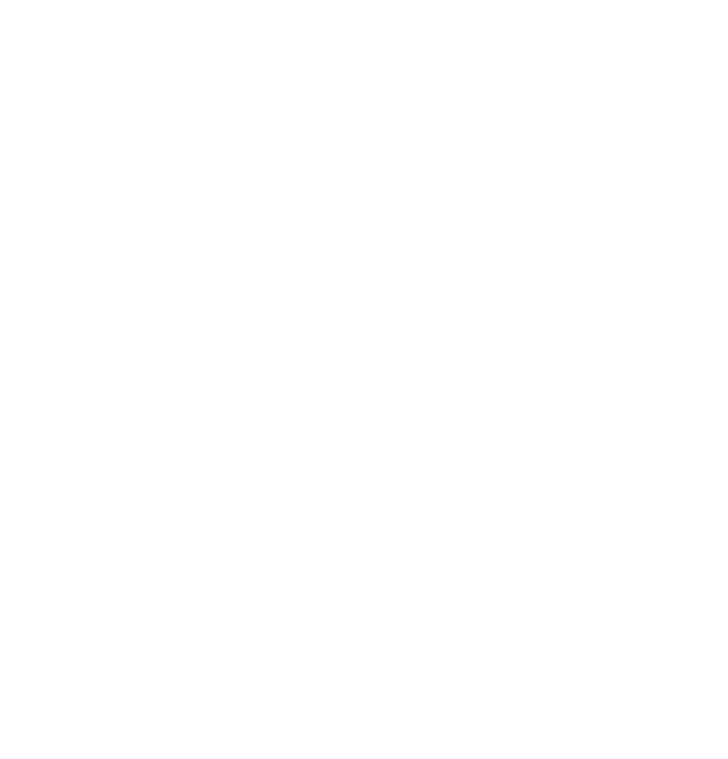 Orr Therapy Services