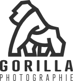 Gorilla Photographie
