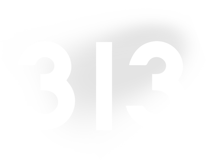 313