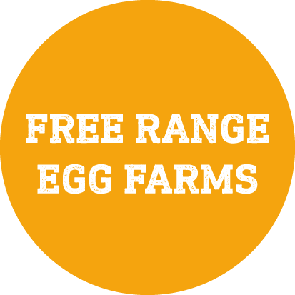 Free Range Egg Farms