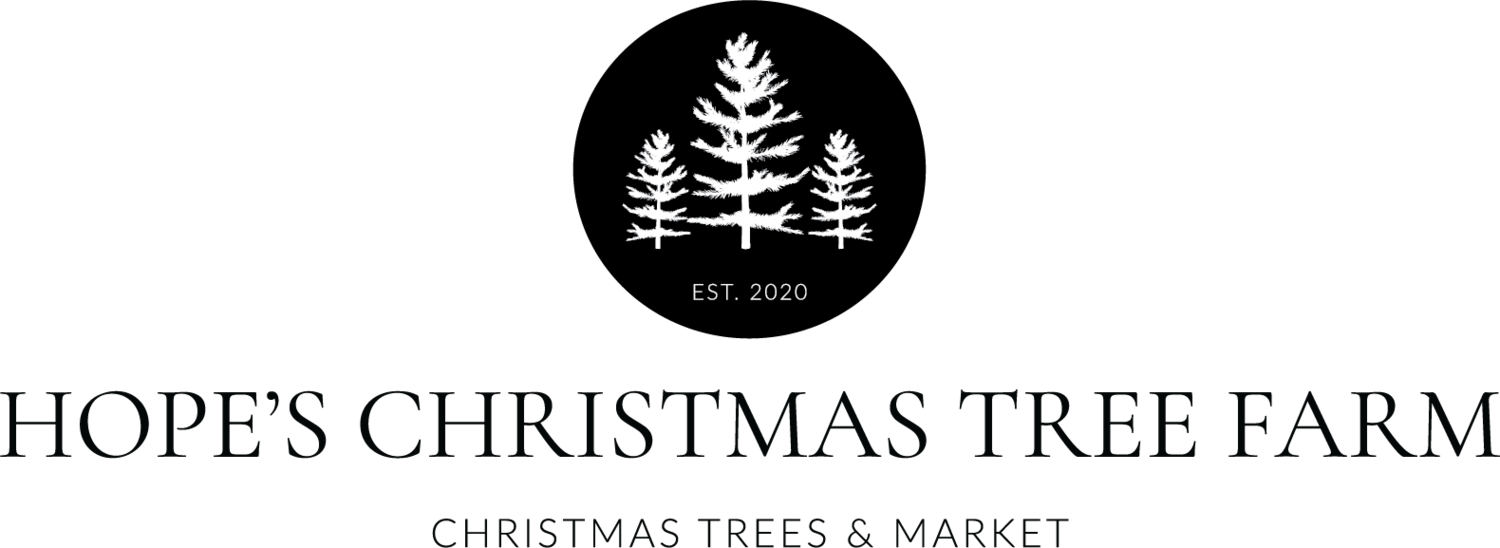 Hope&#39;s Christmas Tree Farm | Christmas Trees &amp; Market