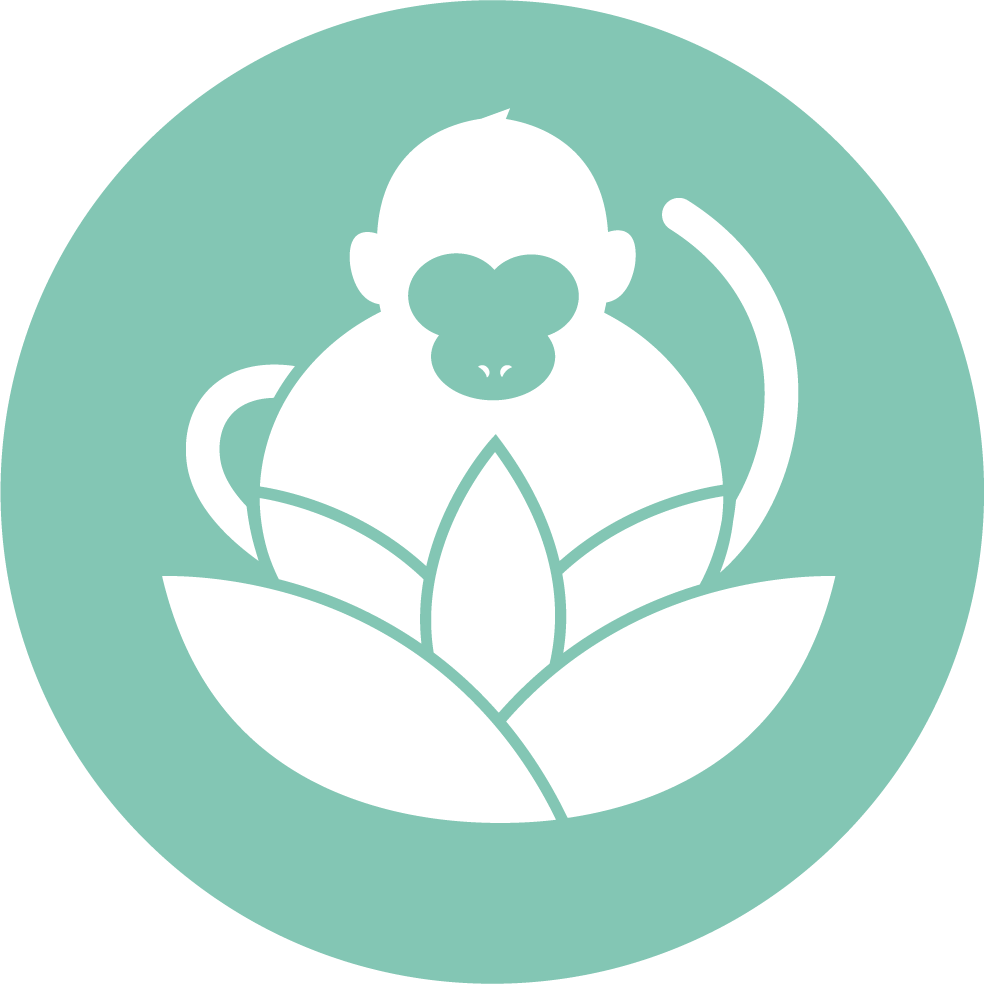 Soul Monkey Yoga &amp; Wellness