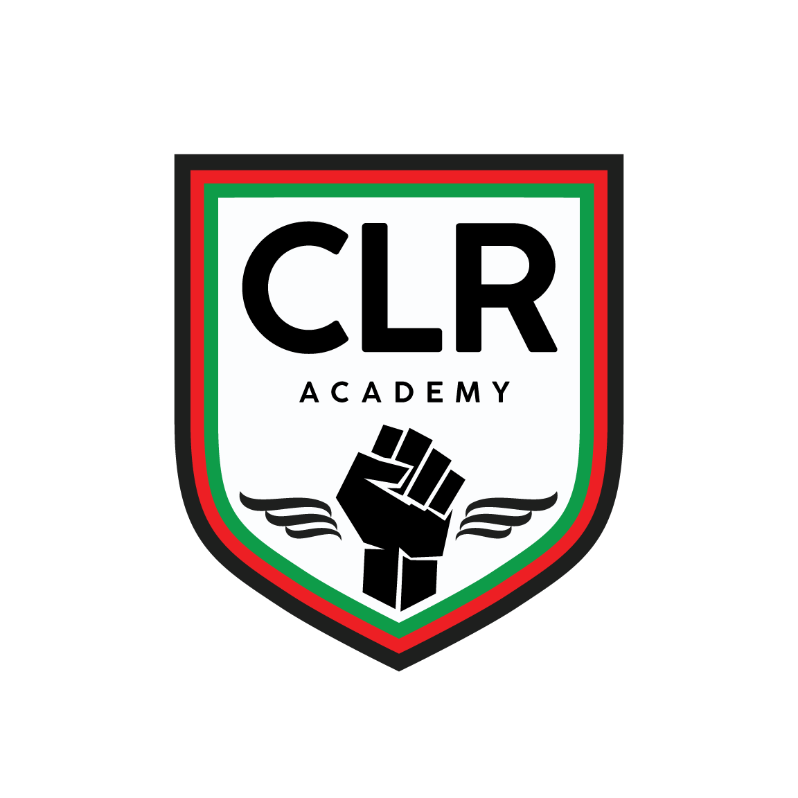 CLR Academy