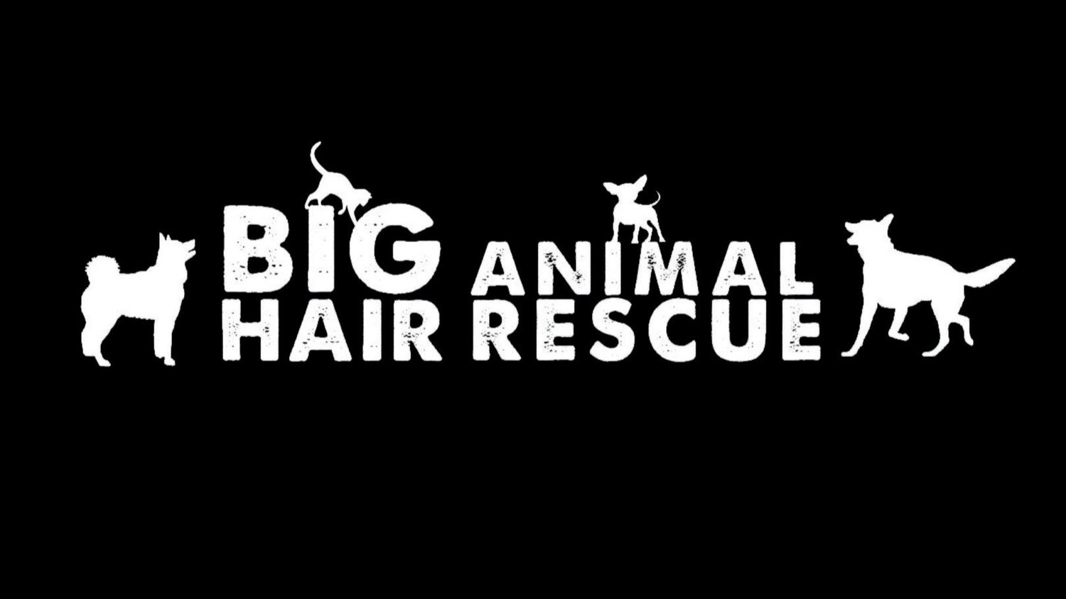 Big Hair Animal Rescue