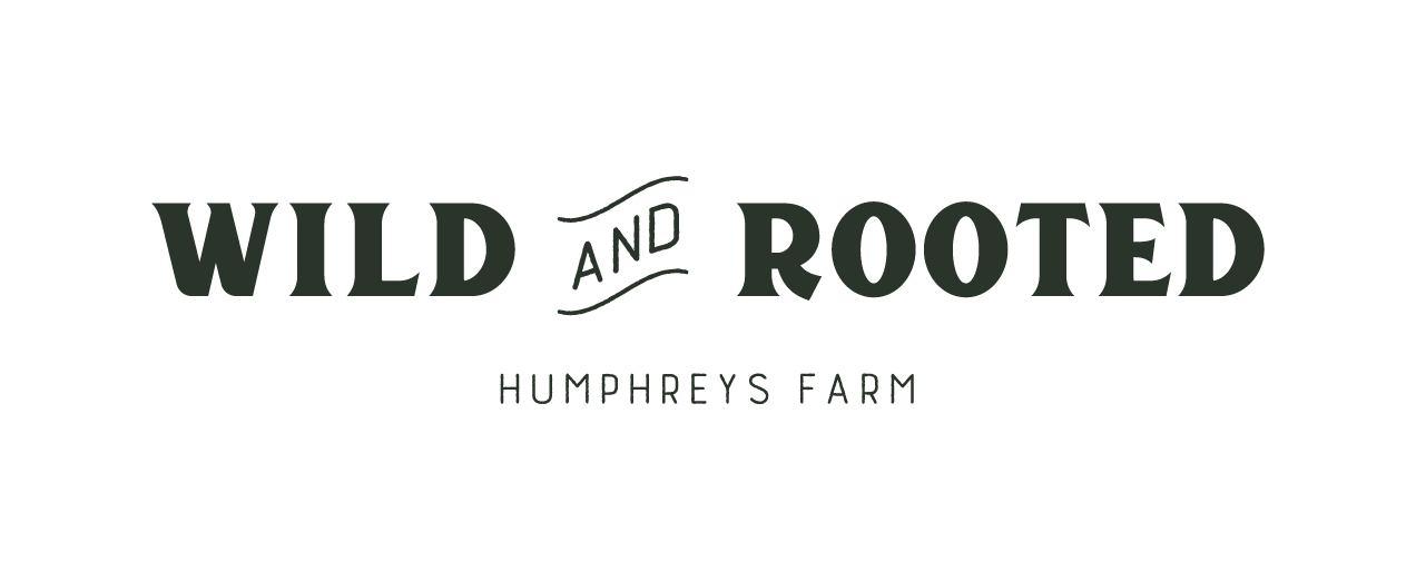 Wild and Rooted Farming | Grass Fed Beef | Kelly Bronze Turkeys Chelmsford, Essex