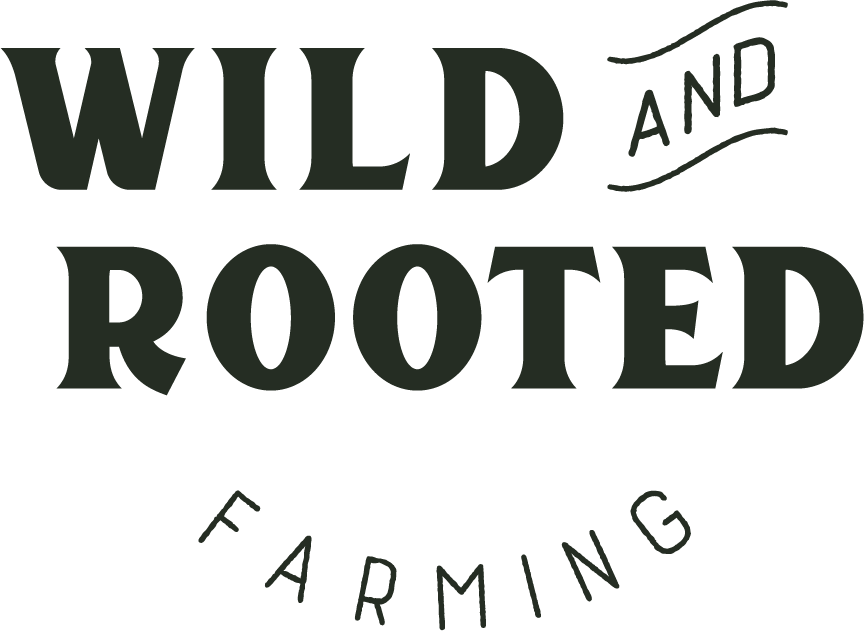 Wild and Rooted Farming | Grass Fed Beef | Kelly Bronze Turkeys Chelmsford, Essex