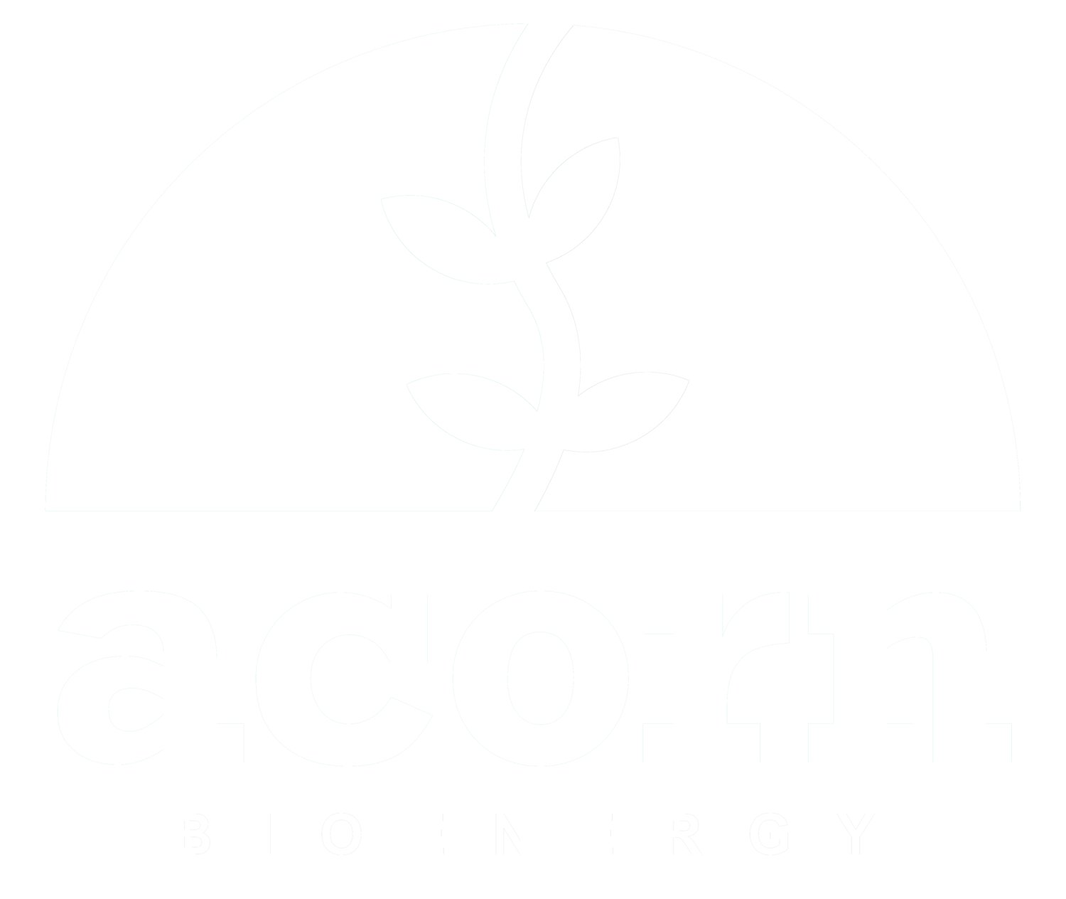 Acorn Bioenergy