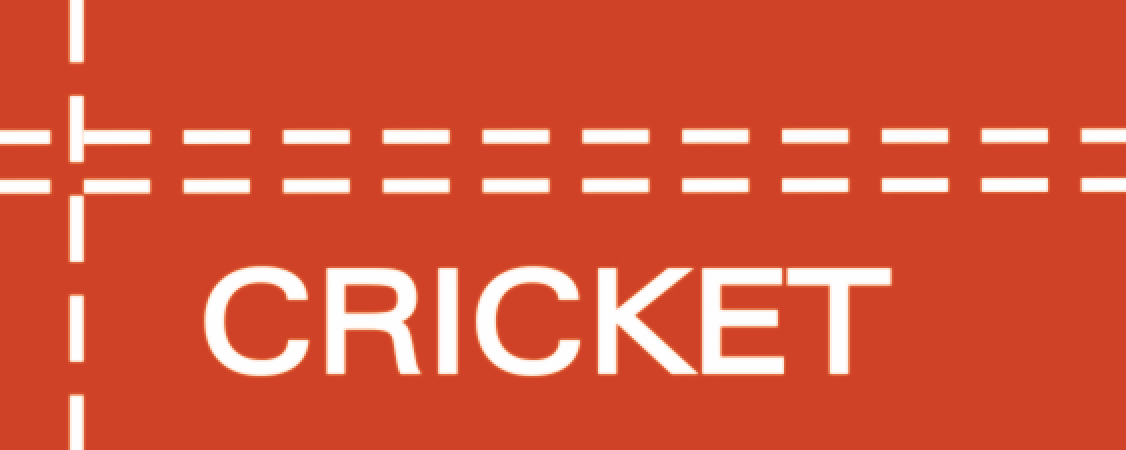 Cricket International Group Ltd