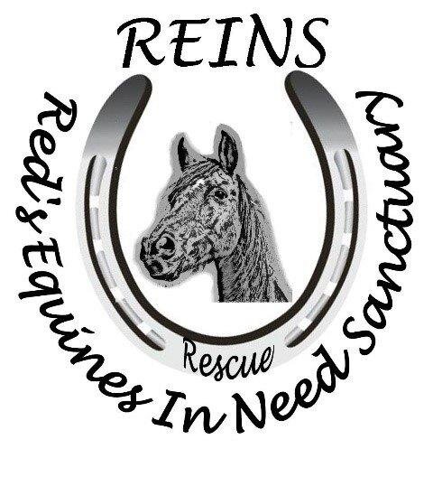 Red&#39;s Equines in Need Sanctuary - REINS