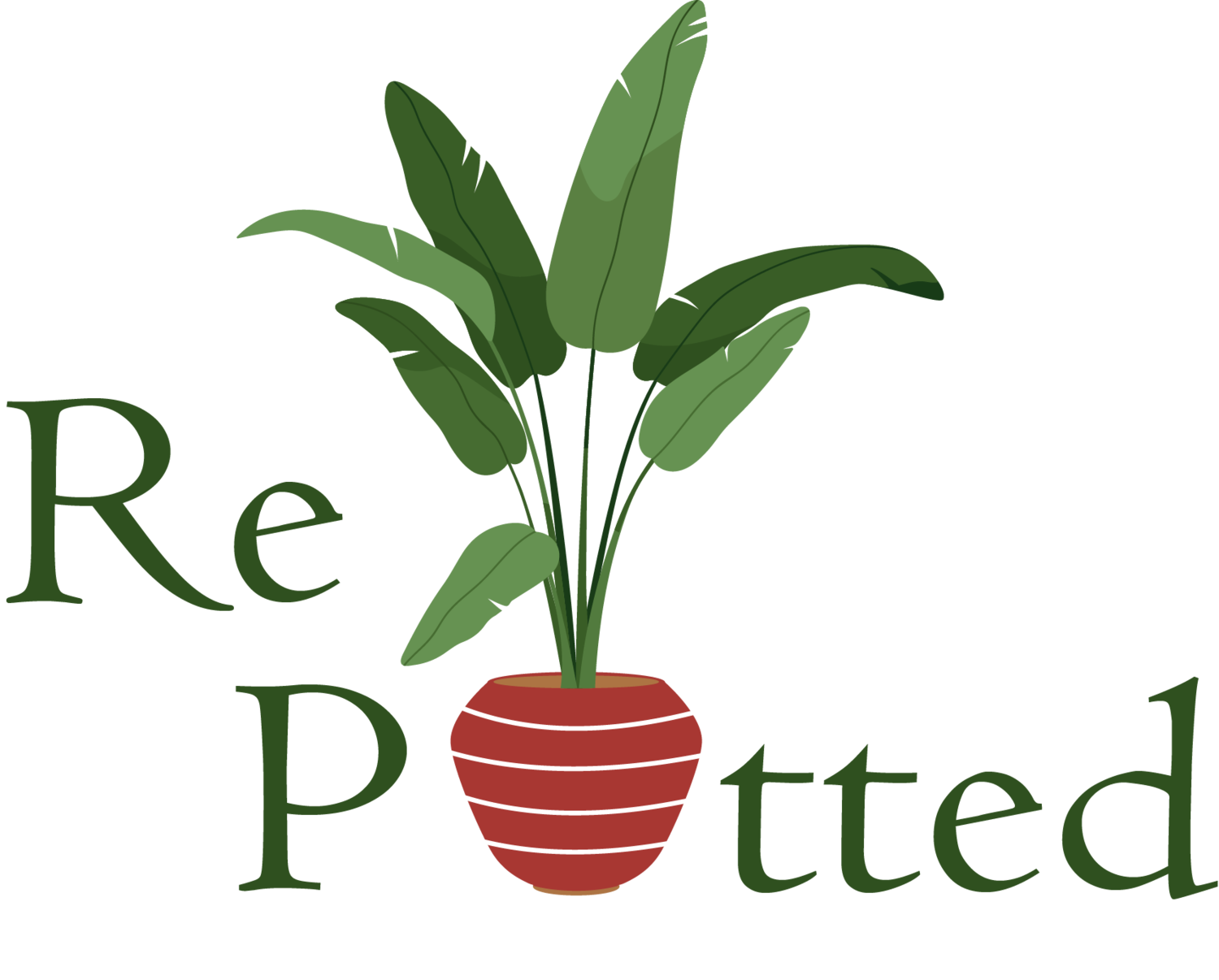 The Repotted Shop