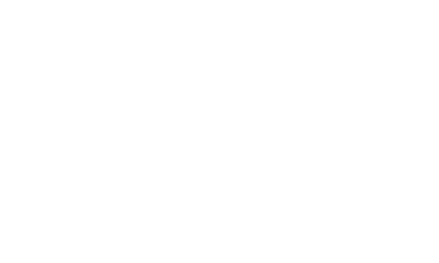 DJ Shyy
