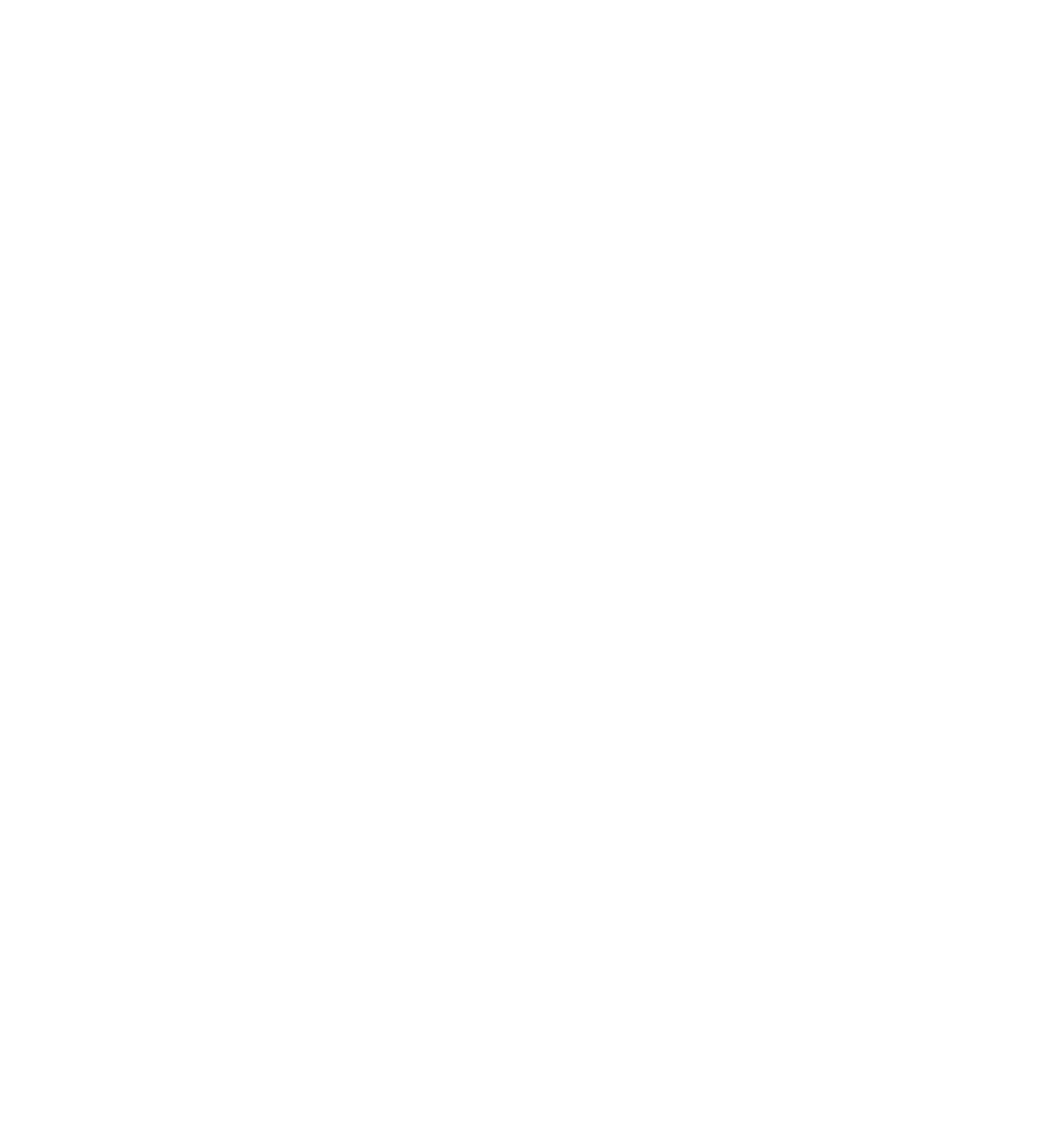 The Villa