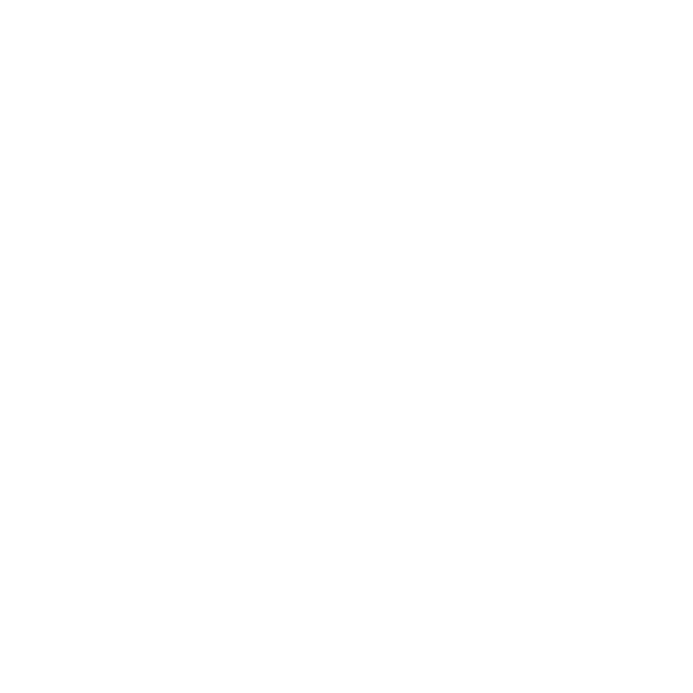 Burt the Dirt