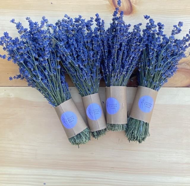 Dried French Lavender Bundles – Golden Garden