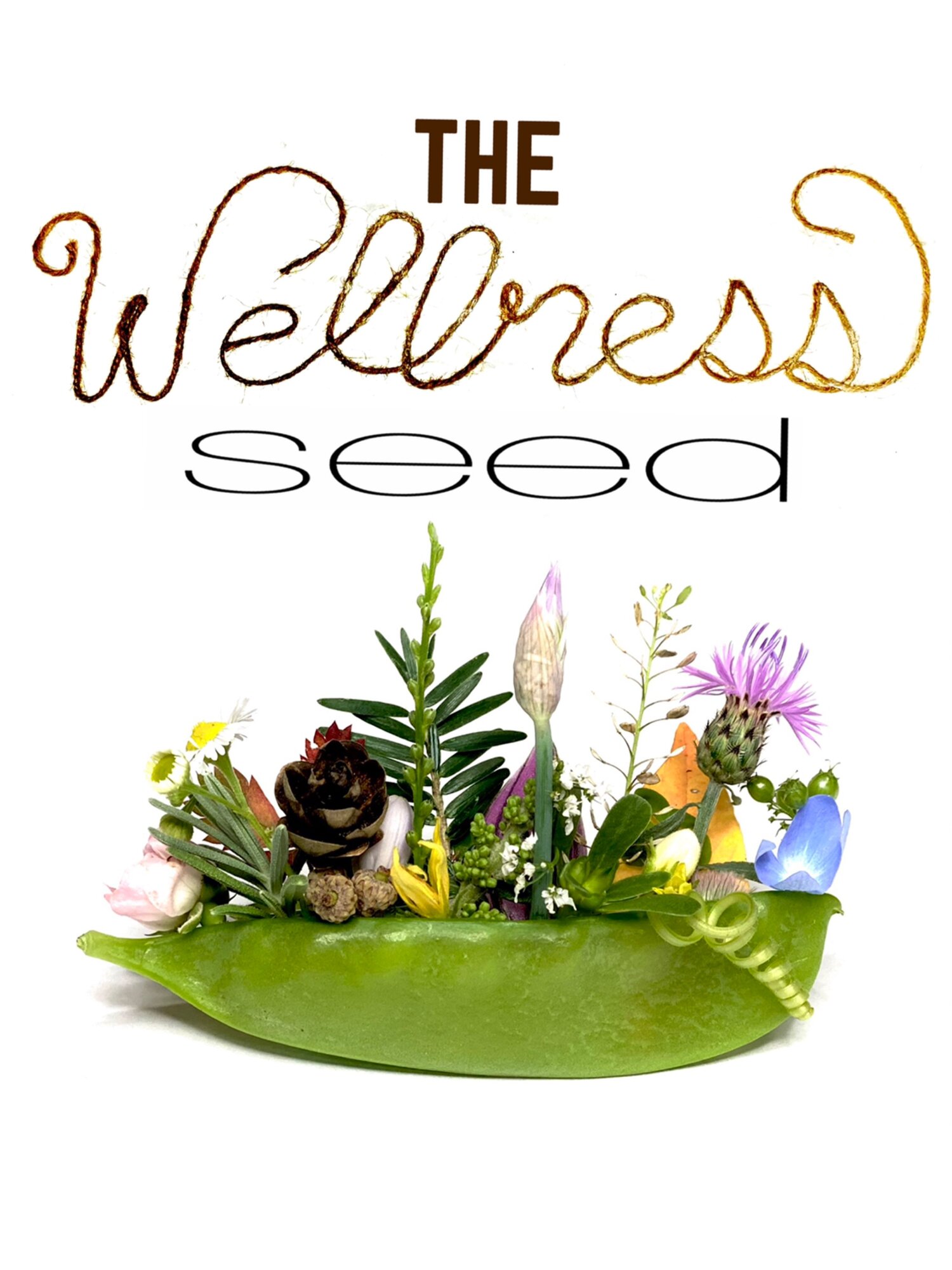 The Wellness Seed